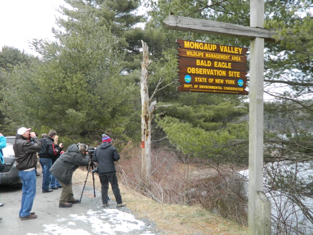 Mongaup Valley Wma Trailkeeper Org Hiking In New York