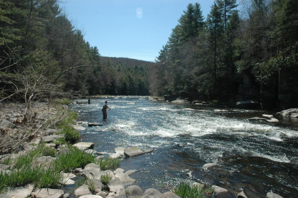 Neversink Unique Area Hiking in New York Sullivan